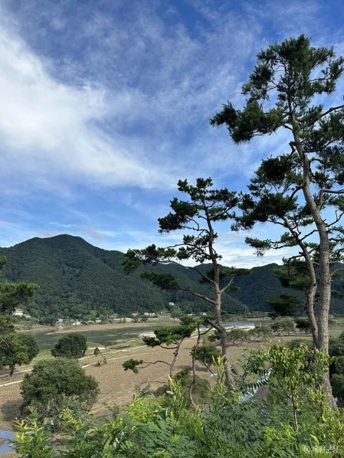 옥천금강수변친수공원 (2)