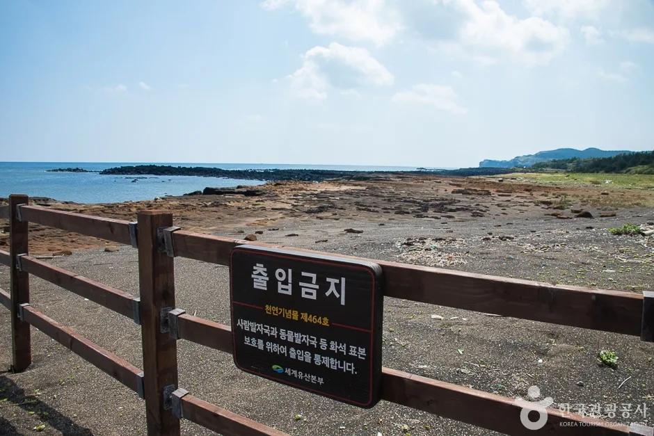 제주_서귀포_사계 발자국화석 발견지(4)