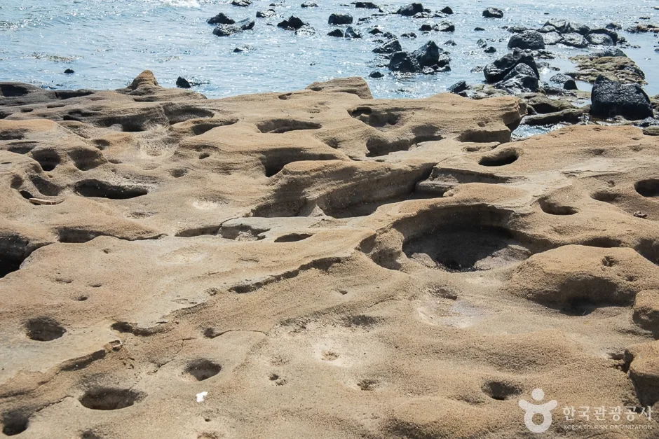 제주_서귀포_사계 발자국화석 발견지(8)
