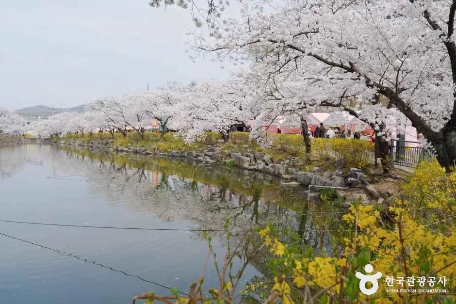 교동 연화지