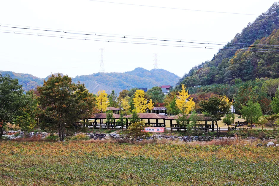 신대리마을