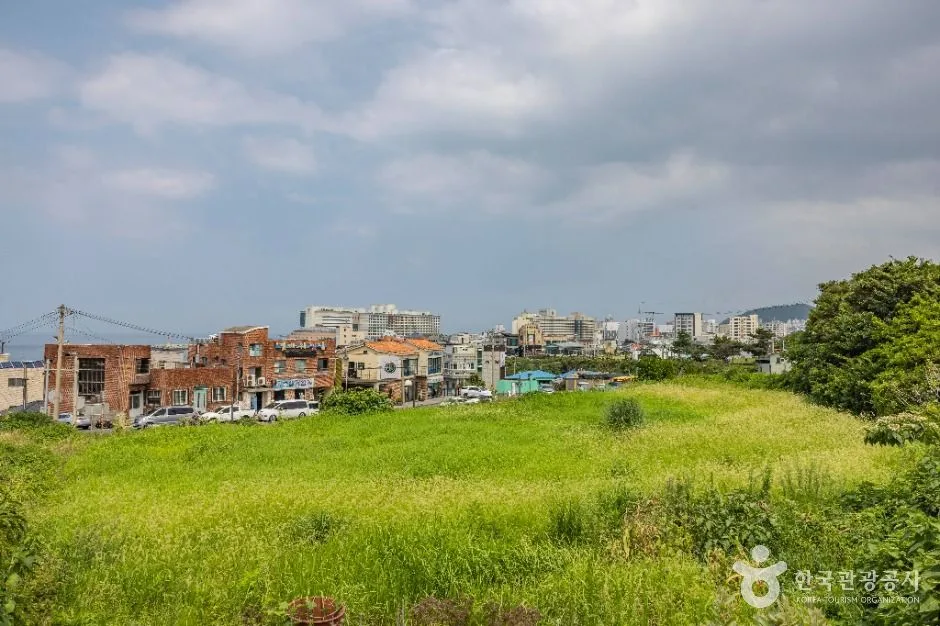제주_용담공원 (5)