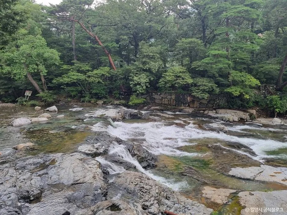 밀양_표충사 계곡 (5)