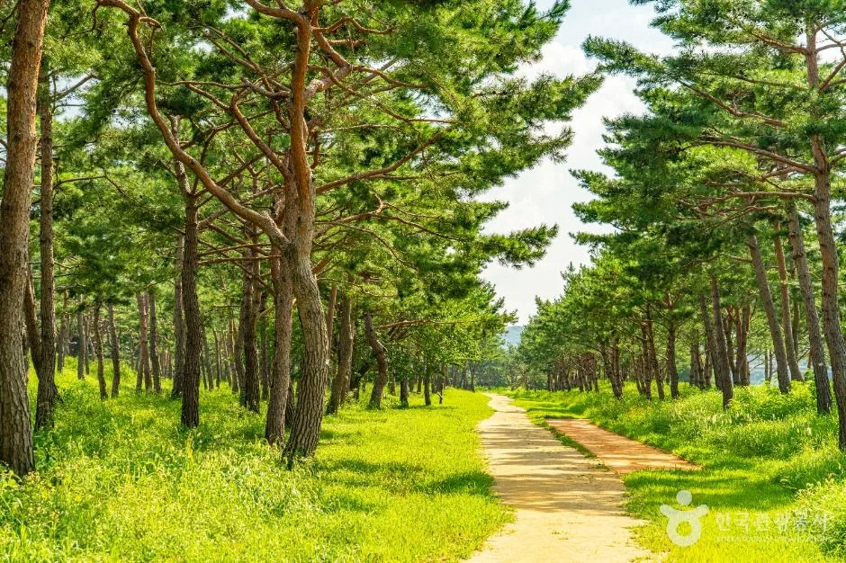 충남_공주_공주 고마나루_외부_6.jpg