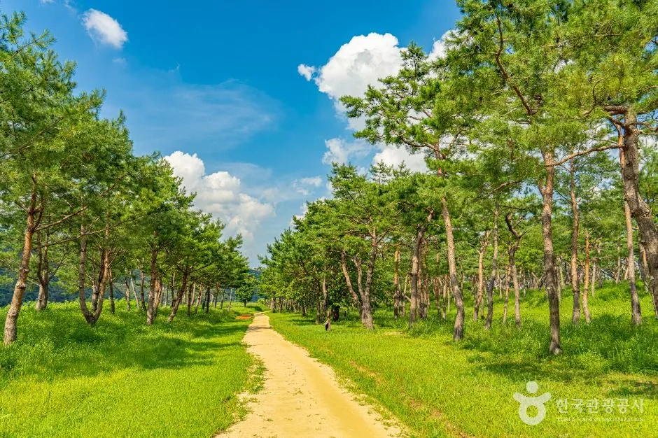 충남_공주_공주 고마나루_외부_5.jpg