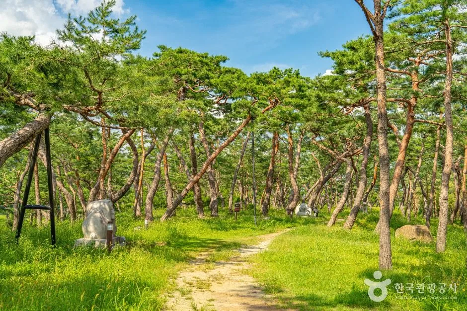 공주_고마나루 (1)