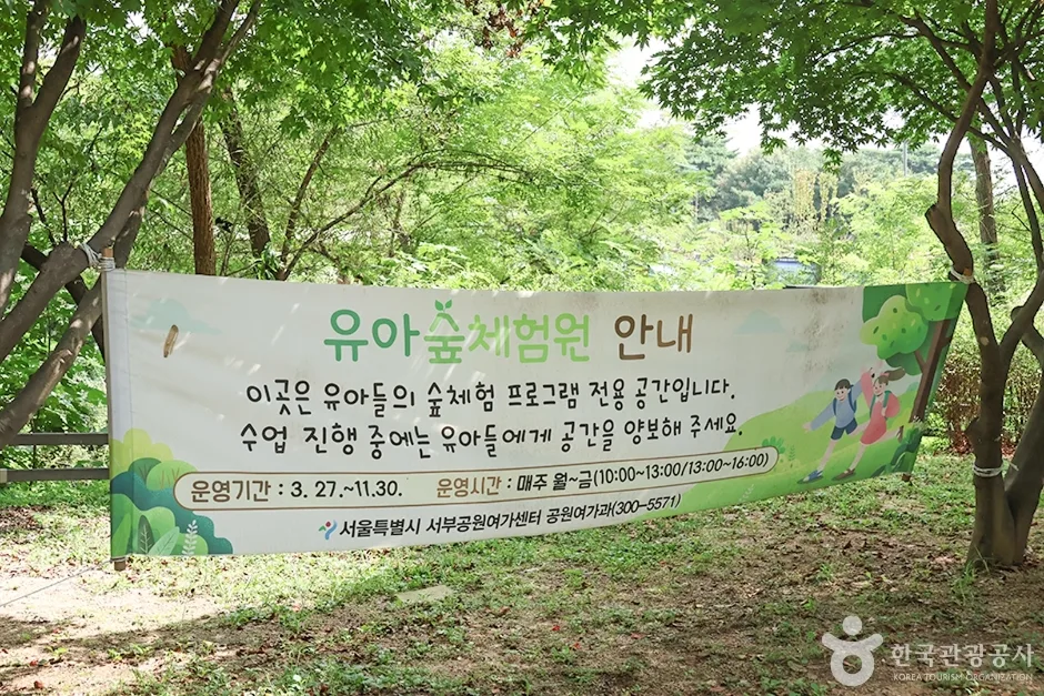 월드컵공원 유아숲체험원 (9)