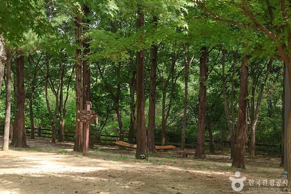 월드컵공원 유아숲체험원 (3)