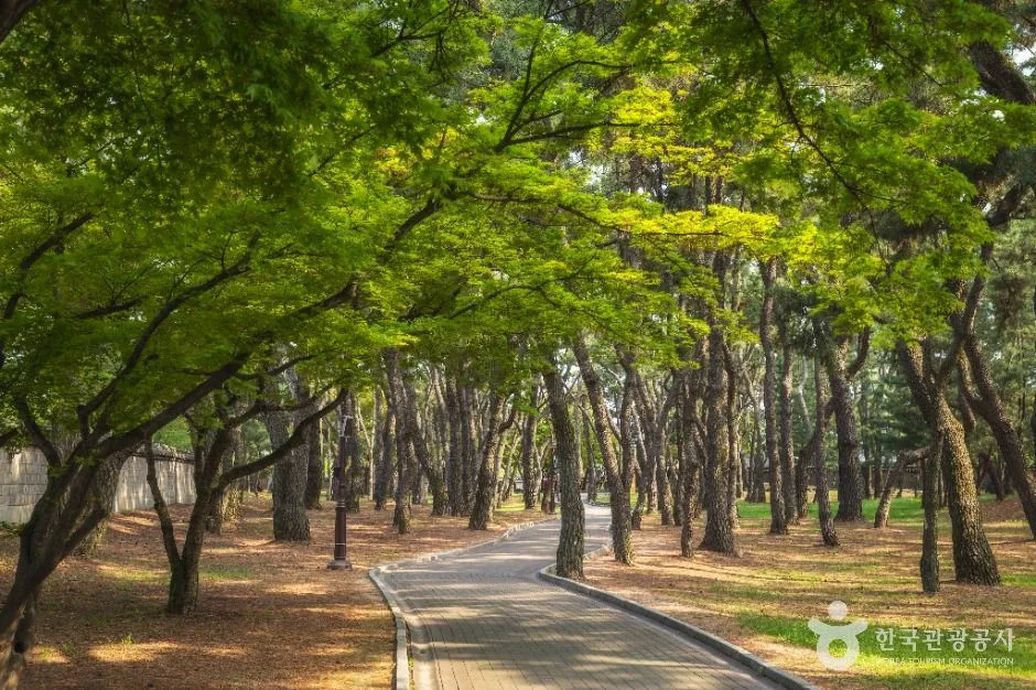 경주 대릉원 일원 (10)