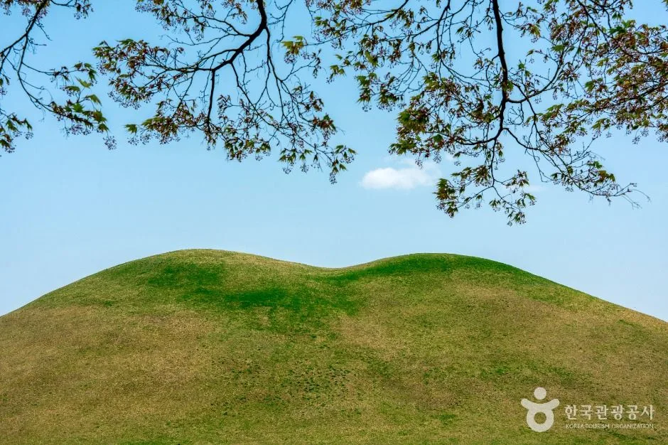 경북_경주_경주 대릉원 일원_외부_3.jpg