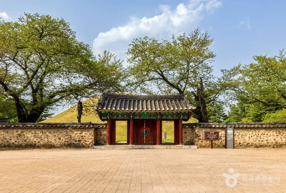 경주 대릉원 일원 (4)