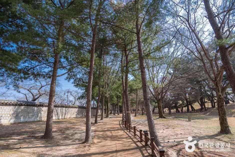 경주 대릉원 일원 (12)