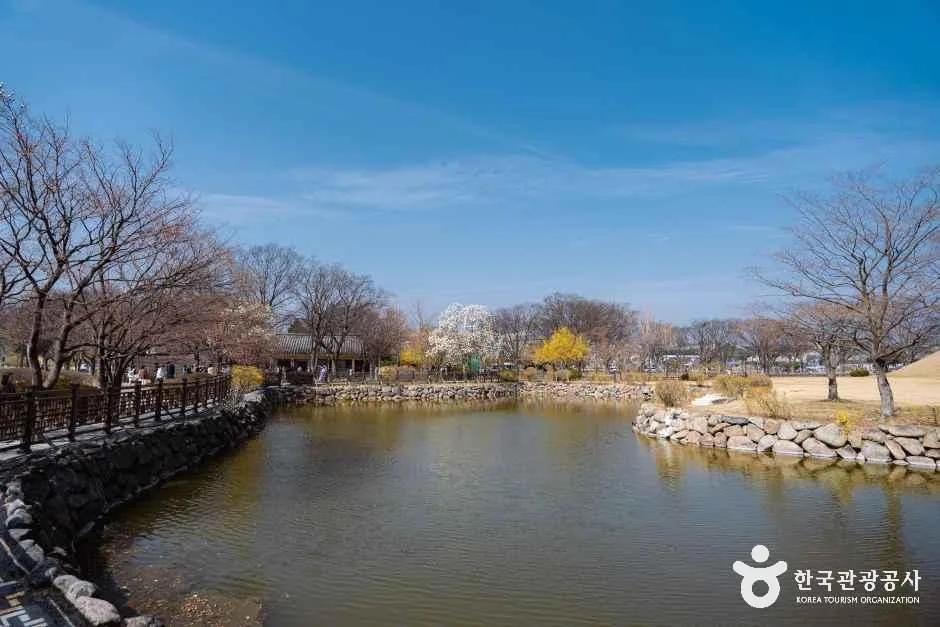 경주 대릉원 일원 (7)