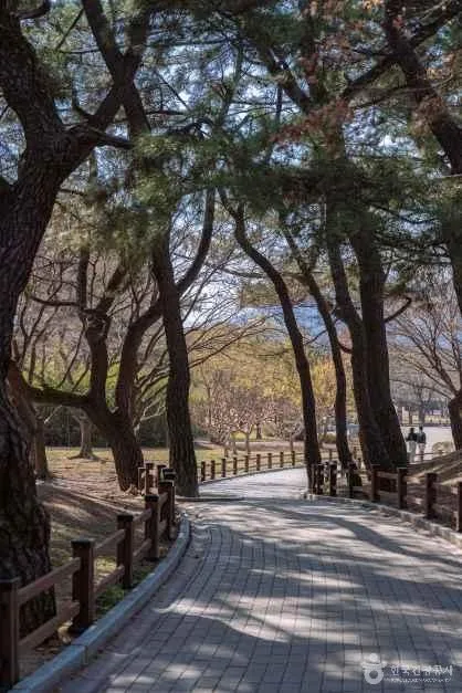 경주 대릉원 일원 (6)