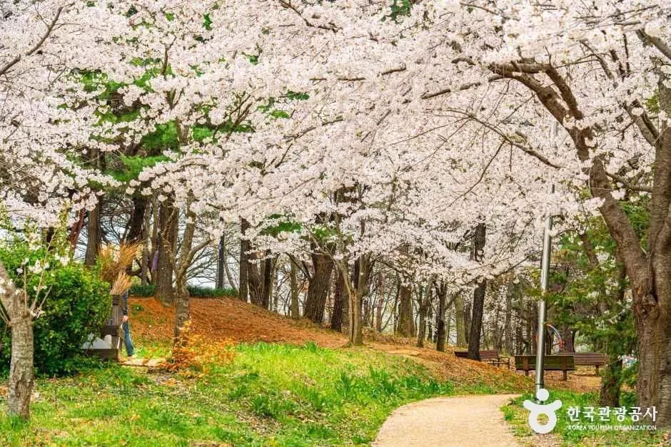 광주_문화근린공원 (3).jpg