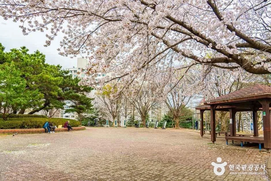 광주_문화근린공원 (5).jpg