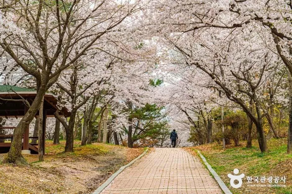 광주_문화근린공원 (2).jpg