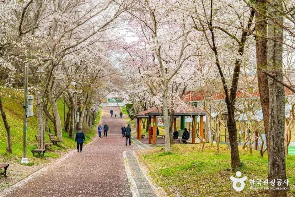 광주_문화근린공원 (4).jpg
