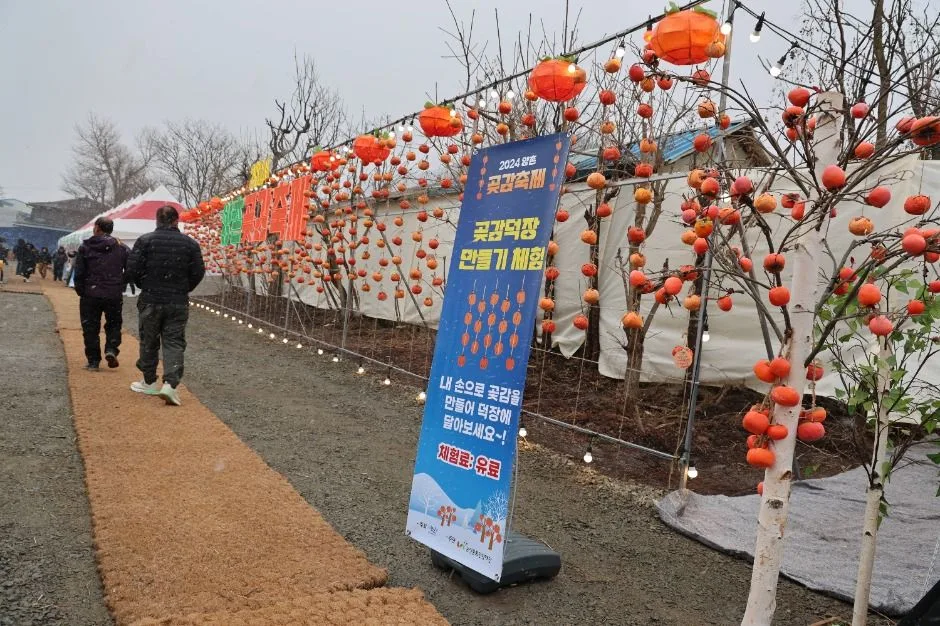 2025 논산양촌곶감축제 3