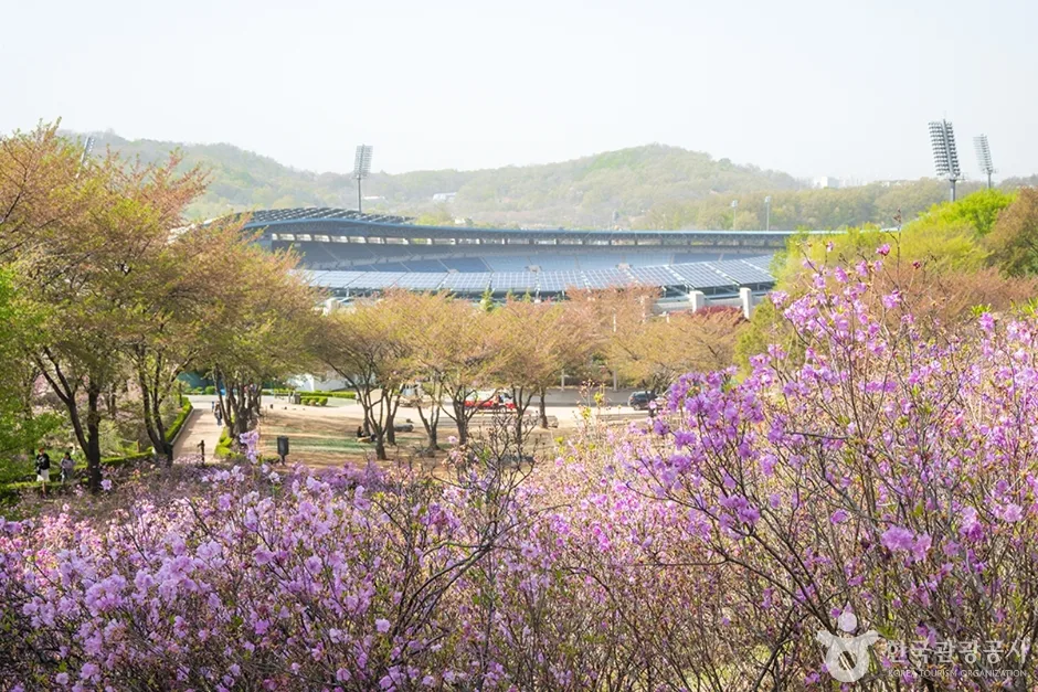 원미산 진달래동산 (3)