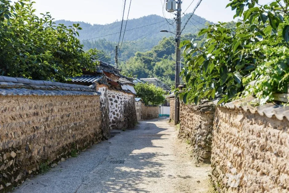 강진_강진 병영마을 옛 담장 (7)