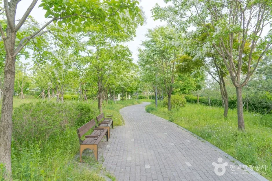 수원_대부둑공원 (5)