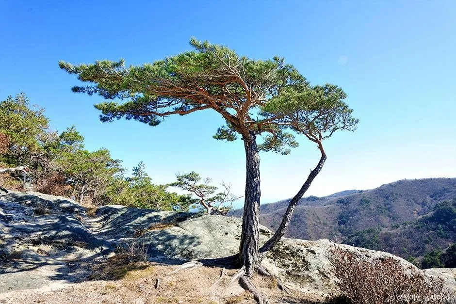 정선_괘병산(정선) (4)