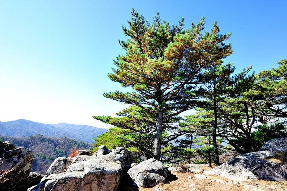 정선_괘병산(정선) (3)