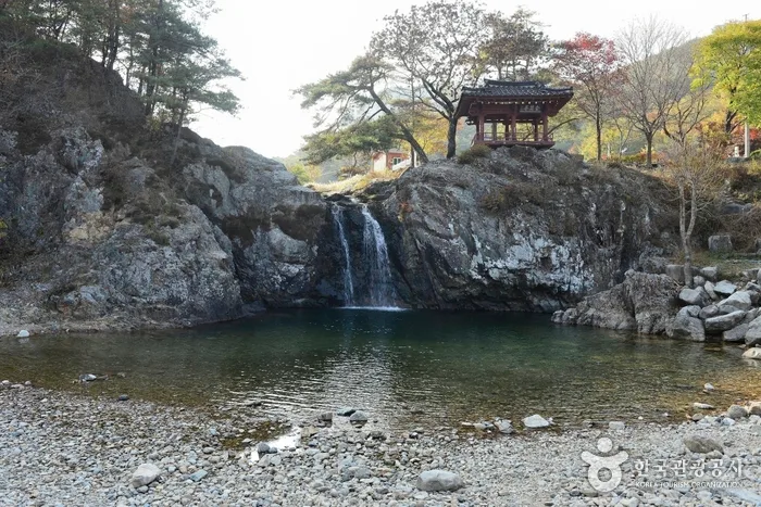시간 걸려도 괜찮아, 느림보 산책