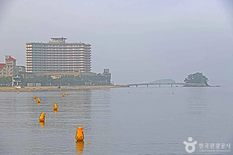 보령 해수욕장 관광특구 (6)