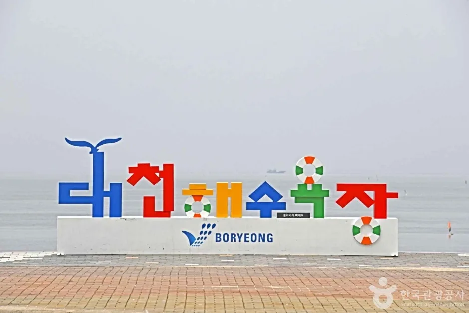 보령 해수욕장 관광특구 (1)