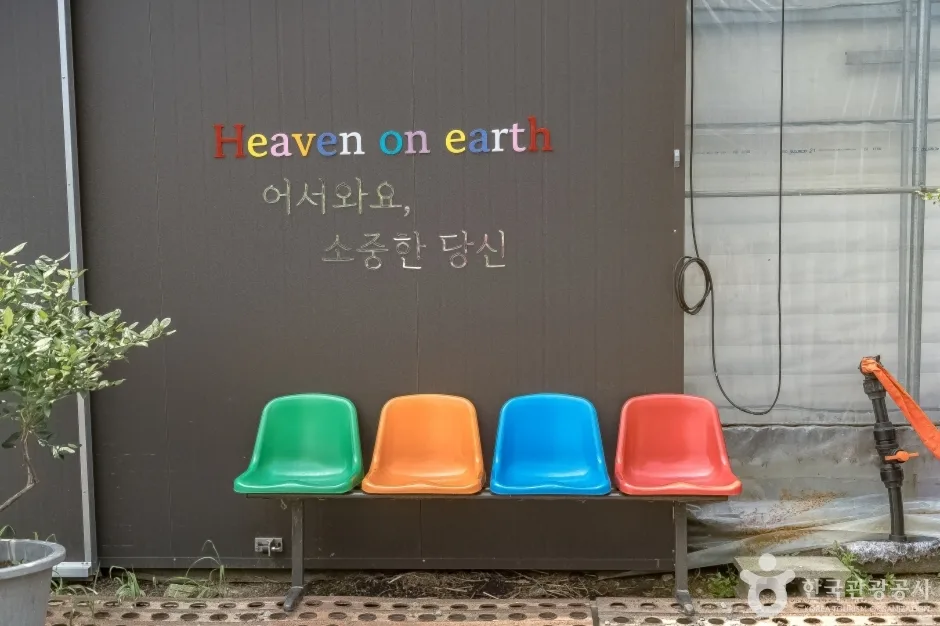 경기_용인_헤븐온어스 (7)
