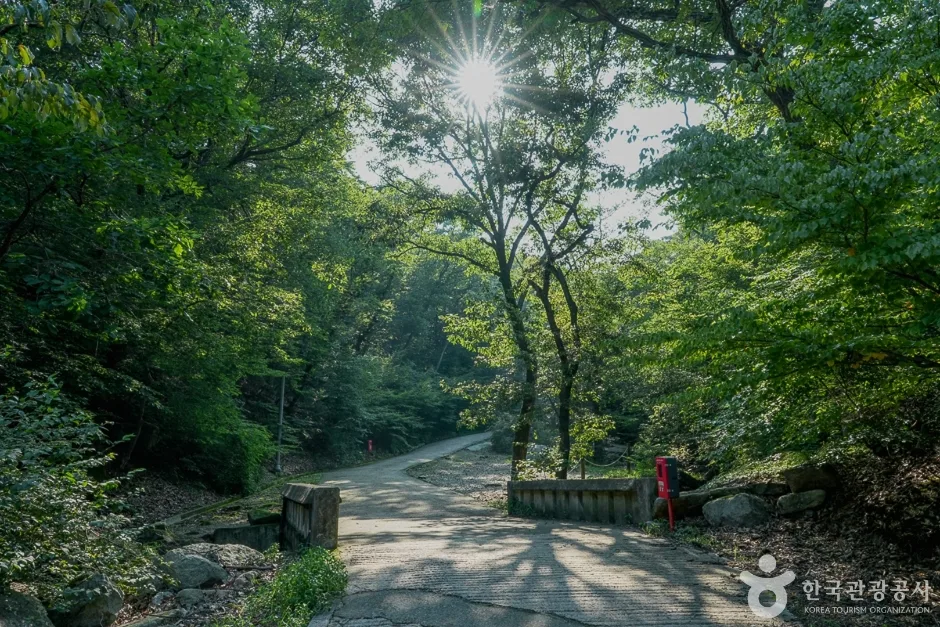 함허동천계곡(11)