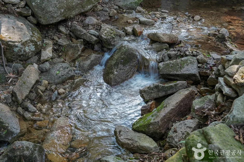 함허동천계곡(12)