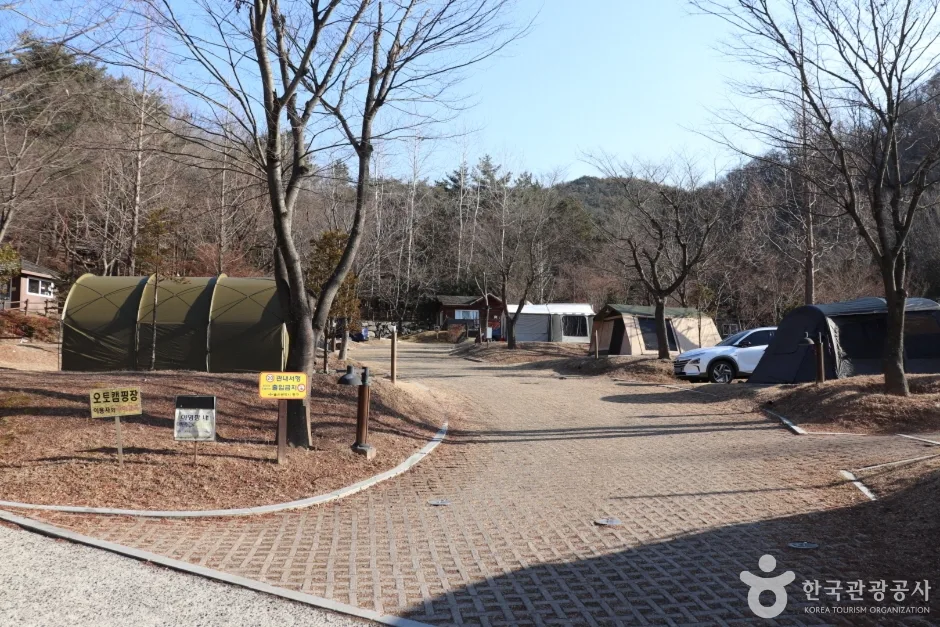 입화산자연휴양림 (6)