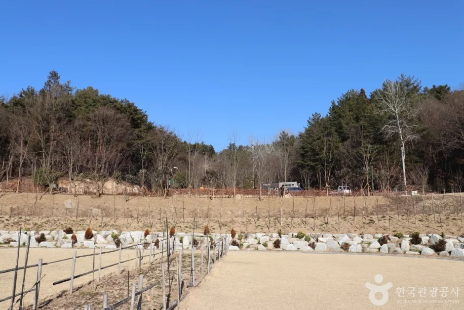 입화산자연휴양림 (13)