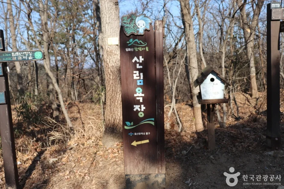 입화산자연휴양림 (3)