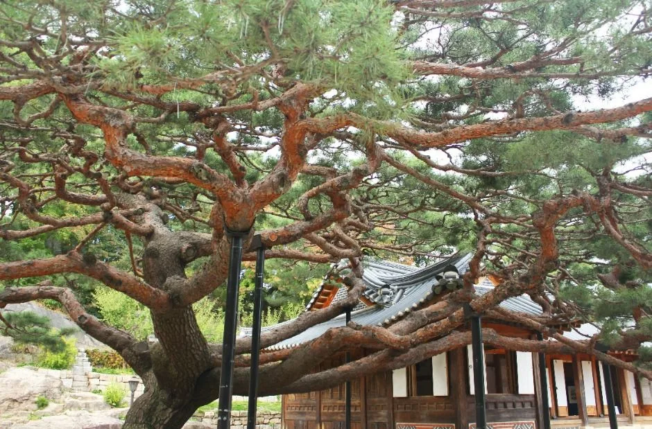 서울_대원군별장(석파정) (7)