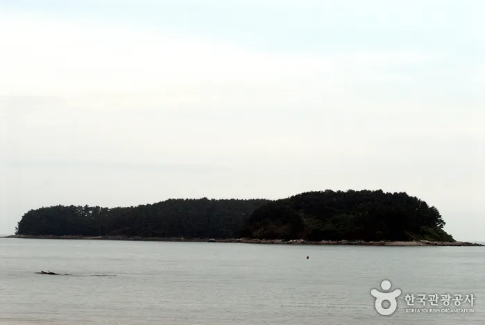 충남_보령시_석대도 (1).jpg