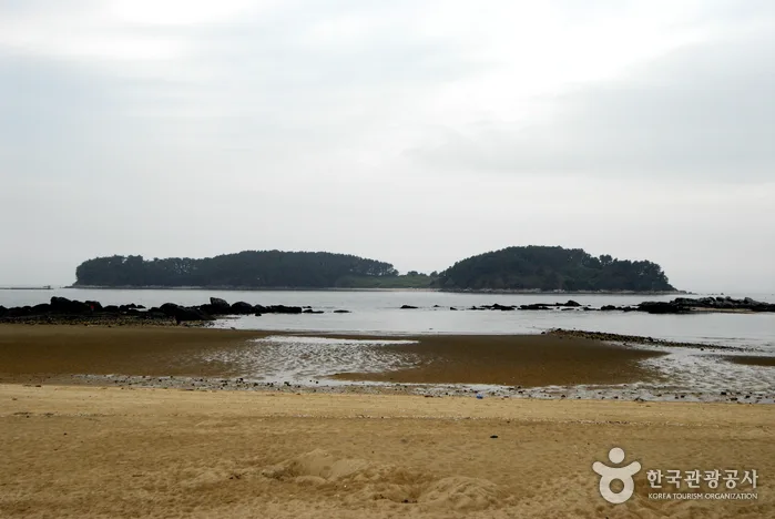 석대도