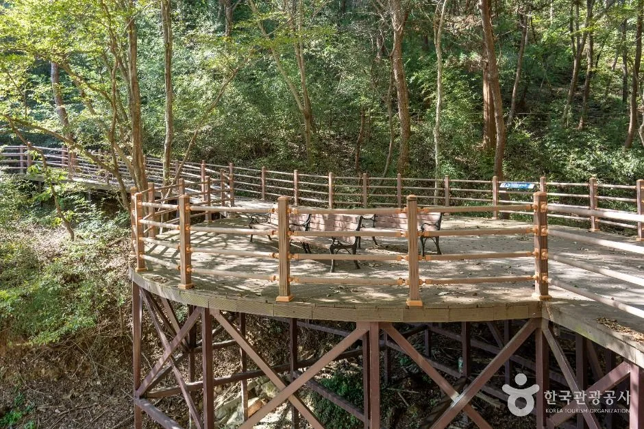 장성_장성호 수변길 (6)