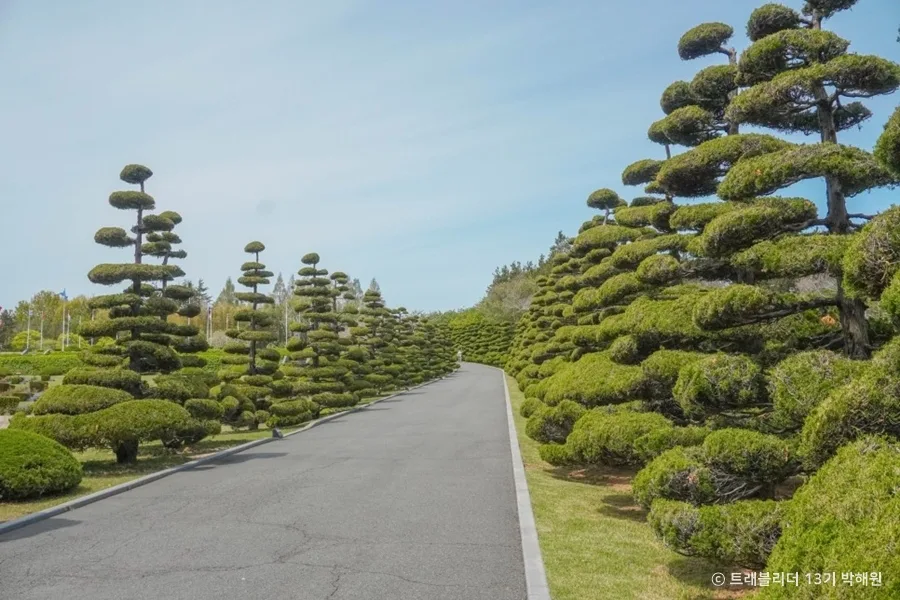 부산_대연수목전시원 (4)