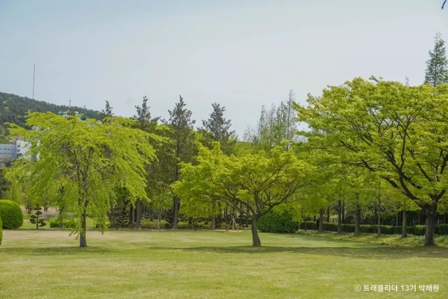 대연수목전시원