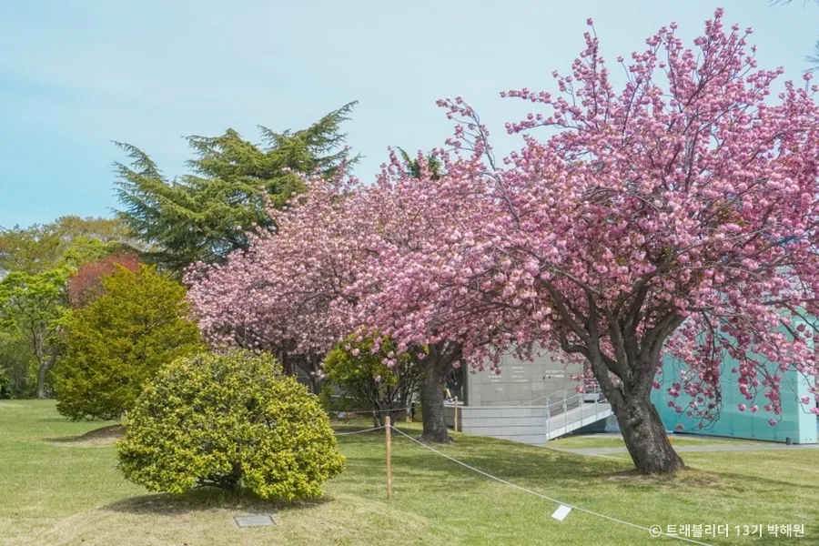 부산_대연수목전시원 (5)