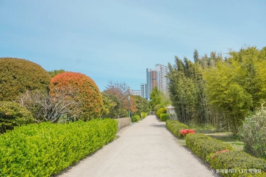 부산_대연수목전시원 (3)