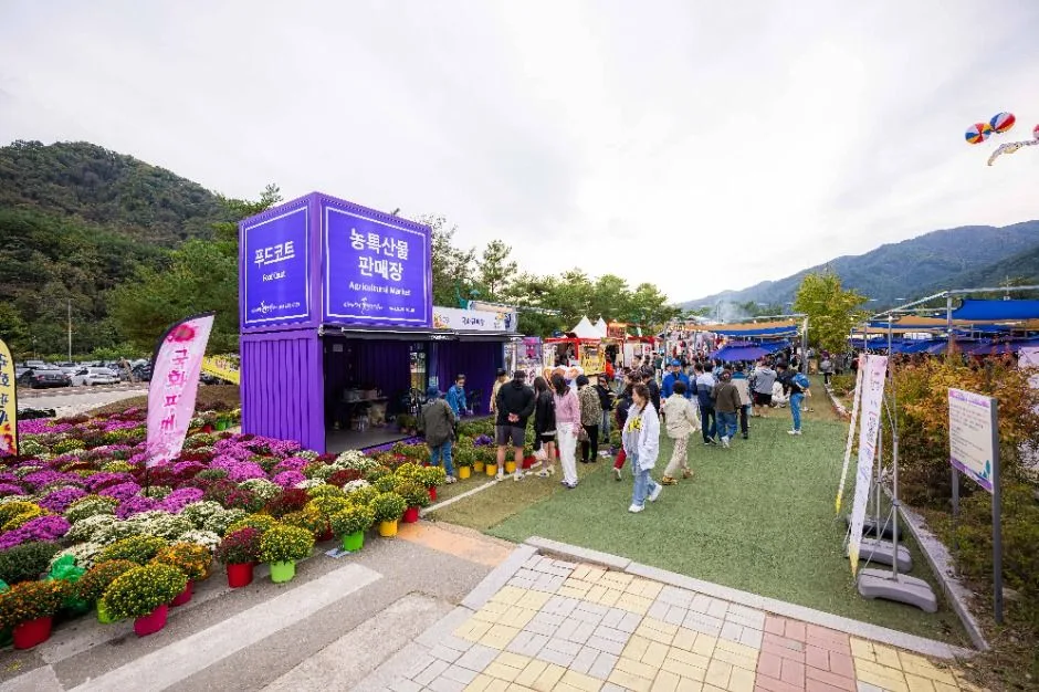 2026 인제가을꽃축제 (4).jpg