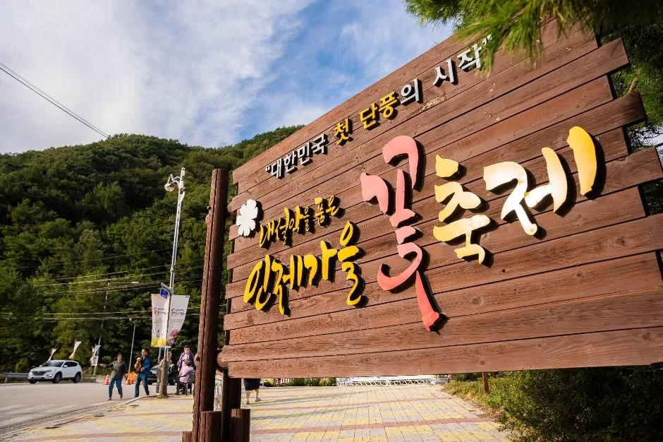 2026 인제가을꽃축제 (9).jpg
