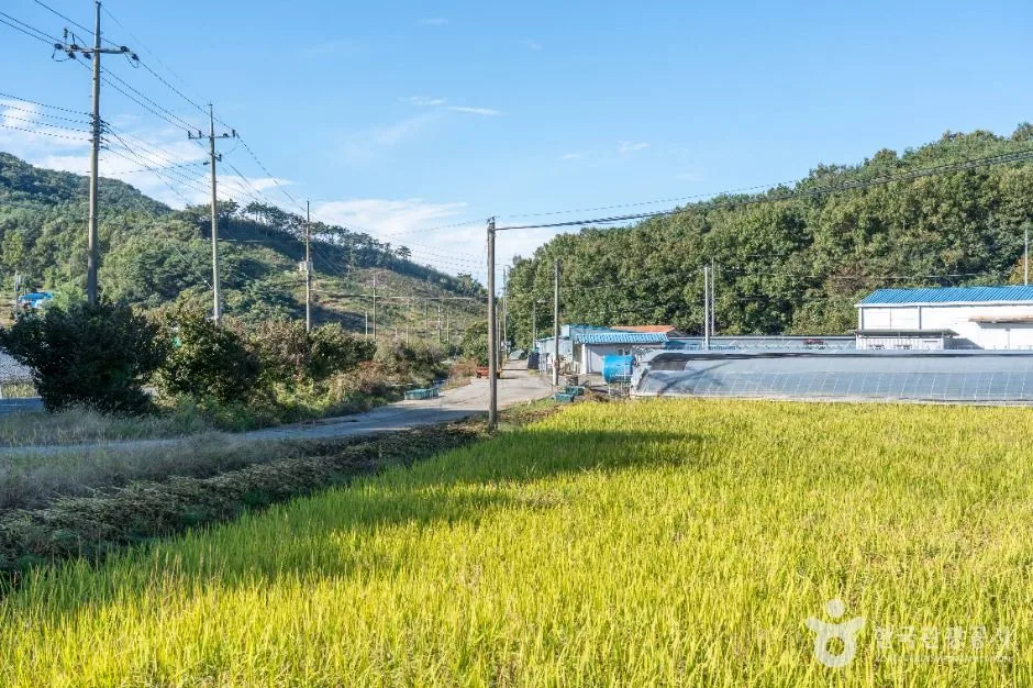 청양_가파마을 (5)