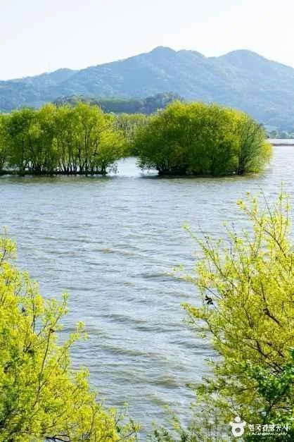 창원_주남저수지 철새도래지 (4)
