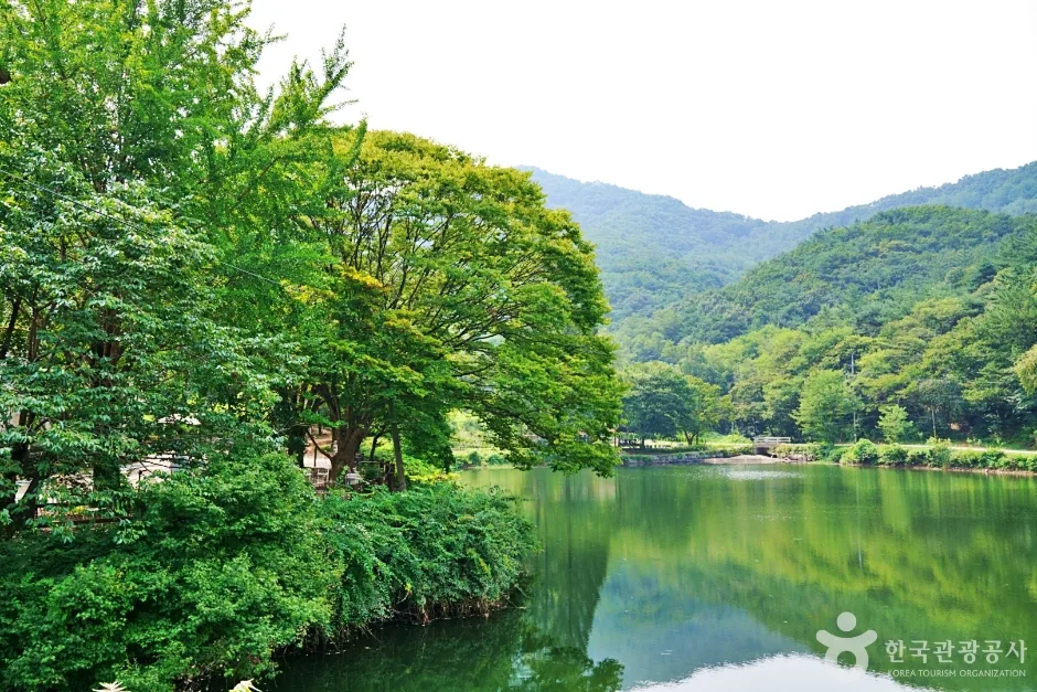 불장골 저수지 (4)